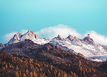 【直播】Jiejie看Xiaoxu一打四：黑哥们这身板也太硬了！这都没死