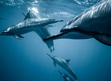 xingkong-傅亚雨：18强赛,不抱幻想免遭伤害