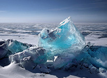 【直播】Jiejie看Xiaoxu一打四：黑哥们这身板也太硬了！这都没死